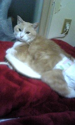 ��¼���ҤȵƤ����01