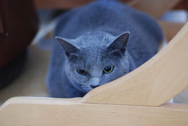 DSC_0379