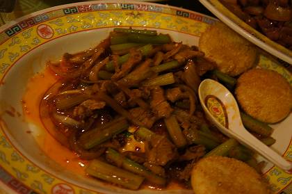 DSC02254-s