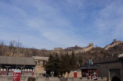DSC02206-s