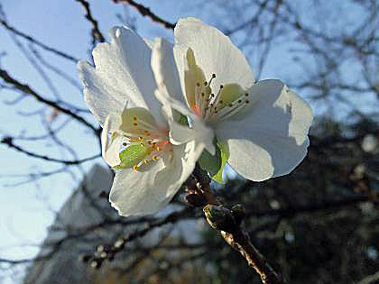 DSCF0840-s