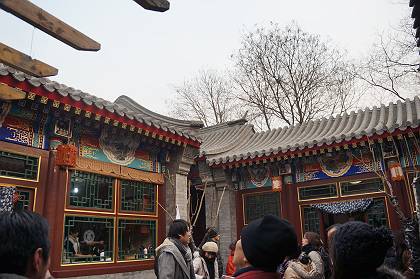 DSC02550-s