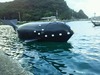 クジラ