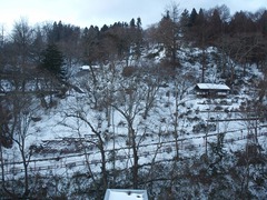 P1204974