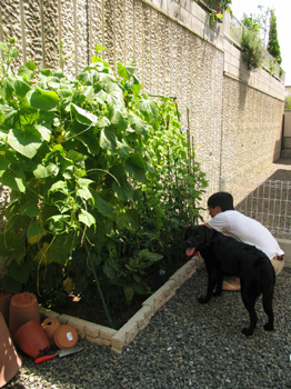 080813 012blog