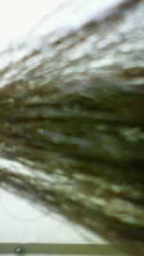 6cc4b684.jpg