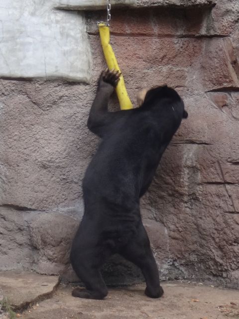 マーズ (3)