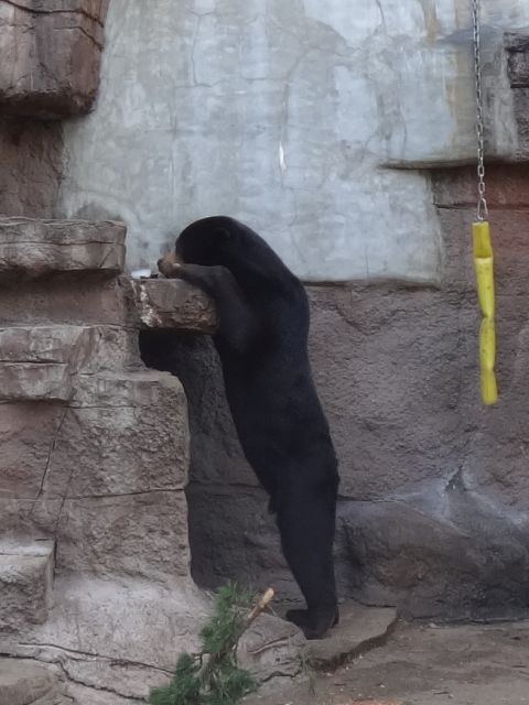 マーズ立ち