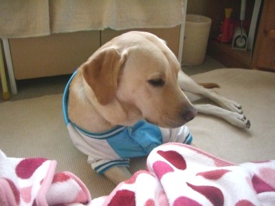 W-眠い