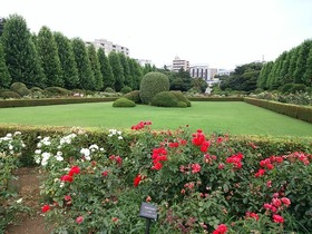 新宿御苑5