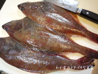 20120214_3