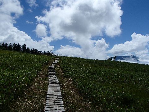 P8271329