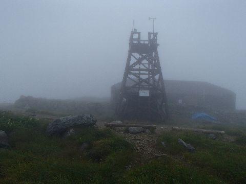 P8181190