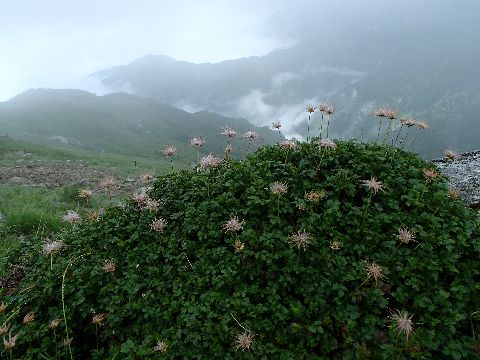 P8271321