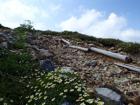 P6250376