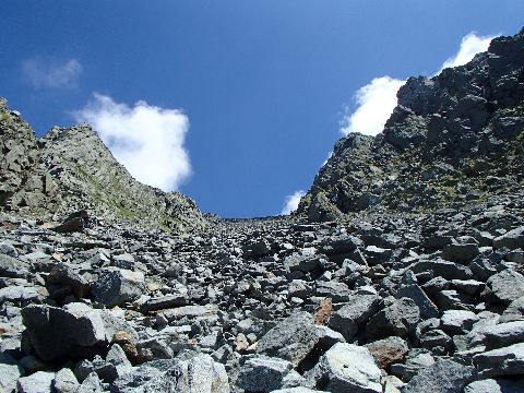 P8151038