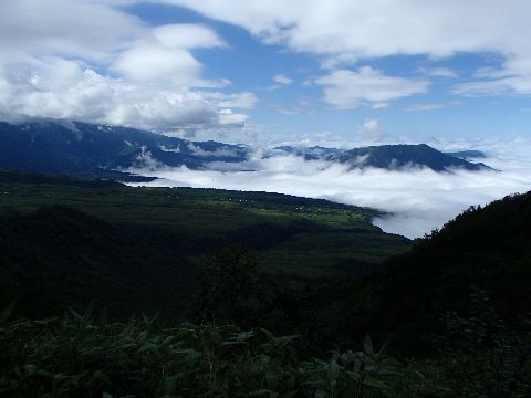 P8271292