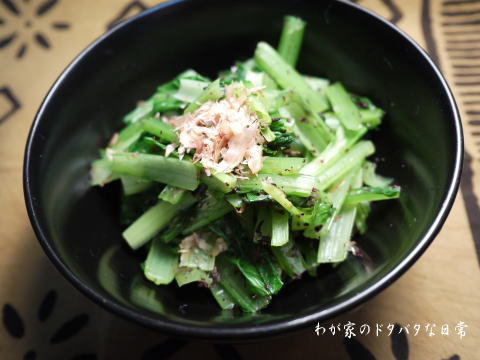 20120202_2