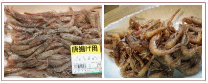 20120116_3