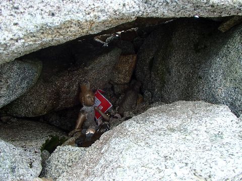 P8271305