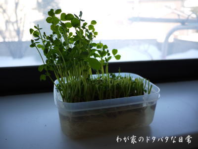 20120220_3