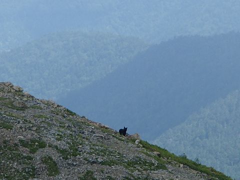 P8070952