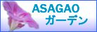 asagao-banner