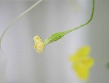 20090719_03