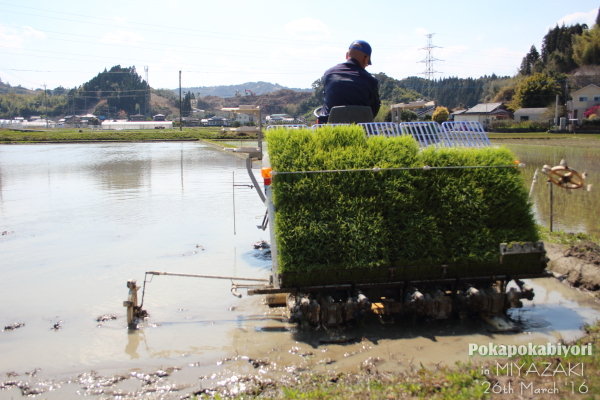 20160327_a04