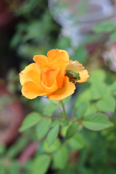 20150923_01