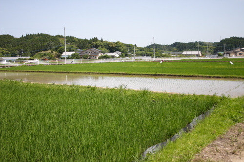 20140501_00