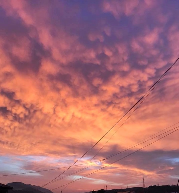 20180726_b099