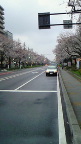 036bb24a.jpg