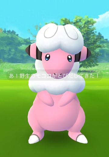 モココ