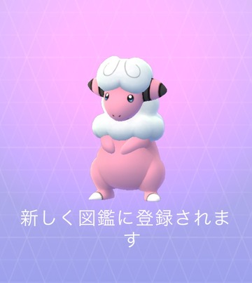 モココ (2)
