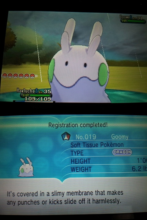 goomy