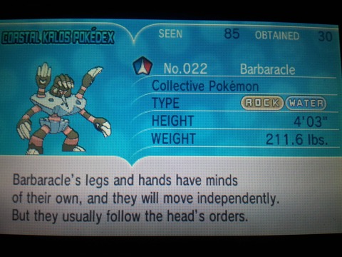 barbarcle