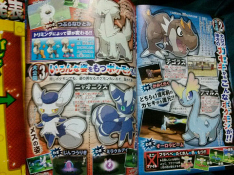 新ポケモン