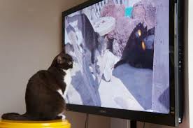 テレビ