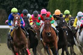 競馬