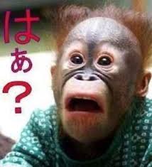 はぁ?