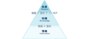 知恵知識