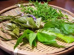 野草