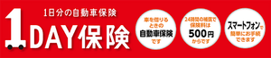 1日保険