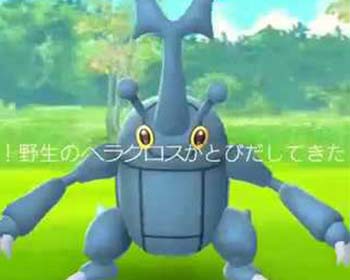 ヘラクロス