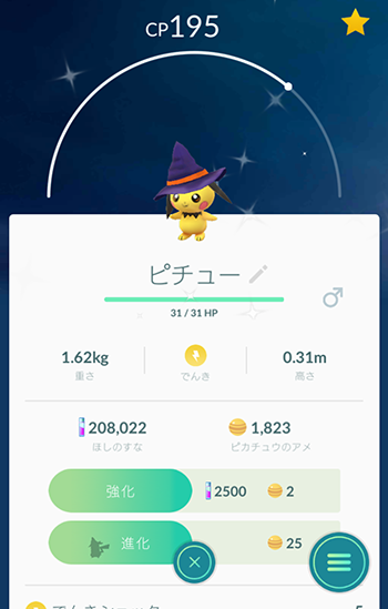 野良初3