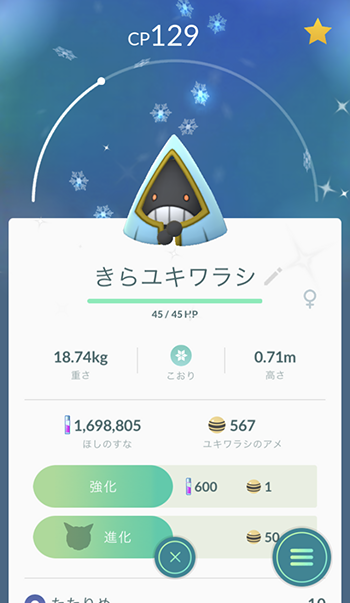 野生フワンテいない2