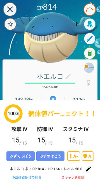 凄いのきたデイ14