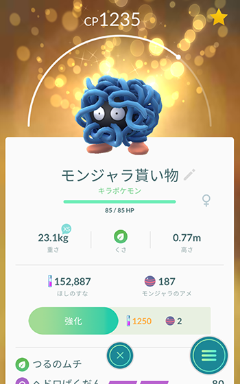 exm2キラ3