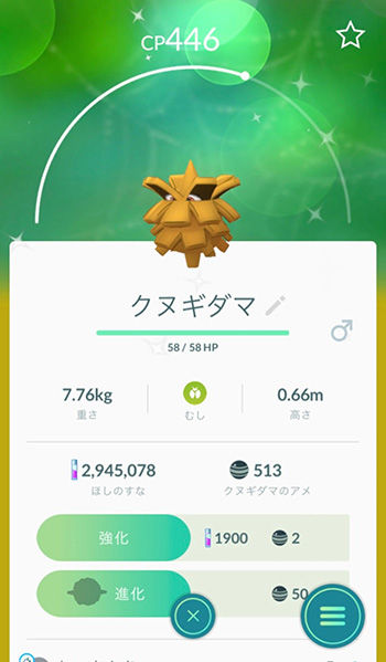 凄いのきたデイ3